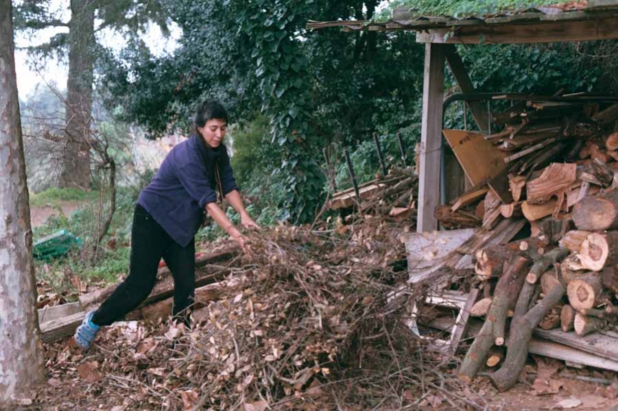 https://fungiceramica.pt/files/gimgs/th-18_00014-francisco iurco 1094-AA021_.jpg